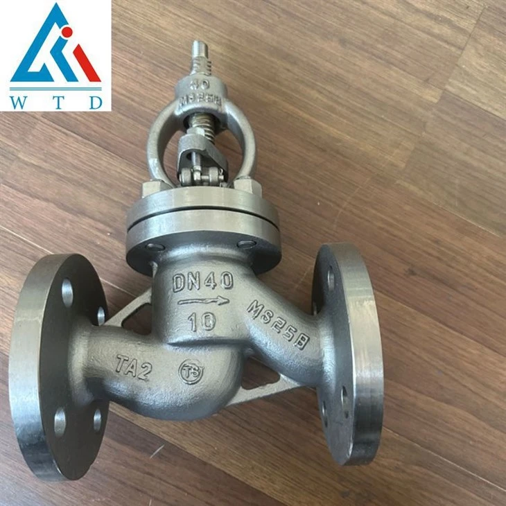 DN40 Titanium Flange Globe Valve